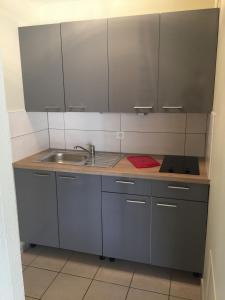 een kleine keuken met een wastafel en een aanrecht bij Orient Village in Géraudot