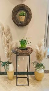 three potted plants on a stand in a room at Hotel Central in Zagreb