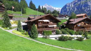 ein Haus auf einem Hügel mit Bergen im Hintergrund in der Unterkunft Apartment Chamonix - GRIWA RENT AG in Grindelwald