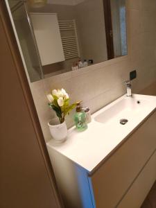 a bathroom sink with a vase of flowers on it at La Cà dol Carlì in Clusone +11 photos