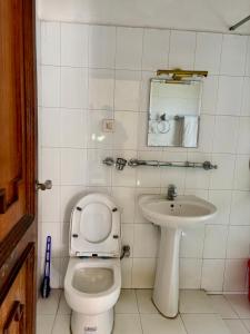 a small bathroom with a toilet and a sink at Hotel Norbu Sangpo in Kathmandu +28 photos