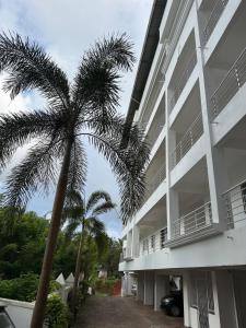 a palm tree in front of a building at Between Tides nd Toasts Udupi Manipal in Manipal