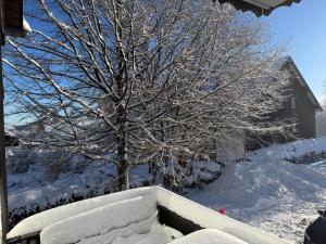 a tree covered in snow next to a house at Ferienwohnung Fichtenweg in Winterberg +28 photos