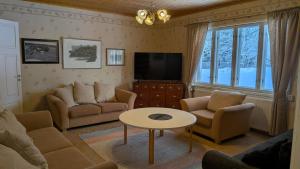 a living room with a couch and a tv at Kauppilan Matkailutalo in Ikaalinen