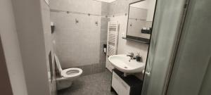 a small bathroom with a toilet and a sink at Hvězda in Želnava +7 photos