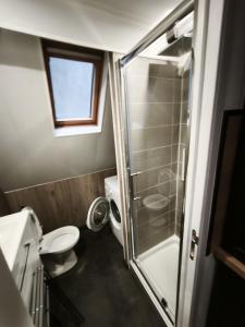 a small bathroom with a shower and a toilet at Le Nid Beauvaisien in Beauvais