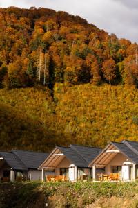 a row of houses in front of a mountain at Mizhhirya resort in Mizhhirya