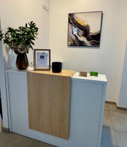 a counter in a room with a potted plant at Hotel Reigosa in Pontevedra