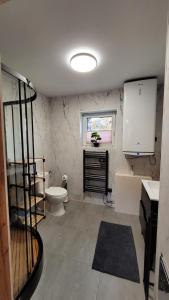 a bathroom with a toilet and a sink and a window at Domek w Zabrzeży in Łącko