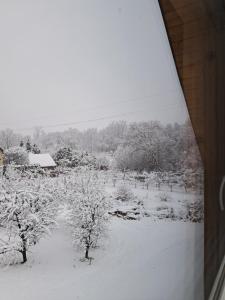 a view of a snow covered field with trees at Domek w Zabrzeży in Łącko +33 photos