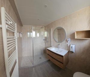 a bathroom with a shower and a sink and a mirror at Hotel Champ Alsace in Haguenau