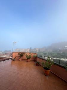 a balcony with potted plants and a view at Apartamentos Turísticos La Posada in Oropesa