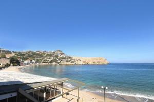 a view of a beach and the ocean at Efrosini & Ioanna Apartment in Ligaria