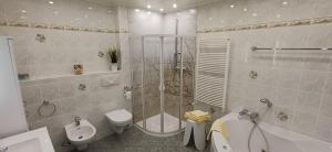 a bathroom with a shower and a toilet and a sink at Fischer in Clausthal-Zellerfeld