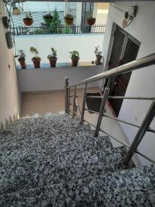 a stairway with potted plants on a wall at Hotel Ashu , Ntl Road in Haldwāni