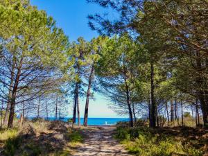 a path through a forest with the ocean in the background at E case di u Puntale in Ghisonaccia +9 photos