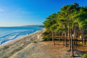 a group of trees on a beach near the water at E case di u Puntale in Ghisonaccia