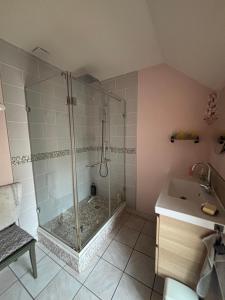 a bathroom with a shower and a sink at Maison d’izier in Izier