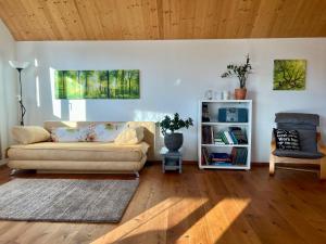 a living room with a couch and a book shelf at Apartment Vinomna in Rankweil