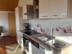 a kitchen with a sink and a counter with pink flowers on the wall at Apartment Vinomna in Rankweil