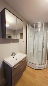 a bathroom with a shower and a white sink at Le Petit Minck in Grand-Fort-Philippe