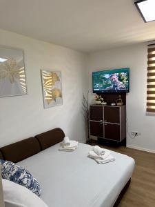 a living room with a bed and a flat screen tv at Arija Apartment Sarajevo in Sarajevo