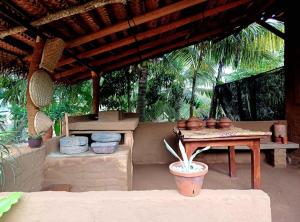 a patio with a table and potted plants at Turtle Island Cabana in Tangalle