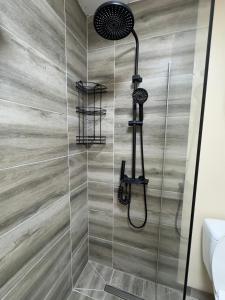 a bathroom with a shower with a shower head at Arija Apartment Sarajevo in Sarajevo