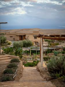 a garden with a wooden walkway in front of a house at Les Jardins de la Santé in Tamazouzte