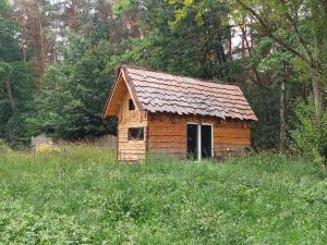 a small wooden house in a field of grass at Mirabel - DreamsCanGrow in Hasselt