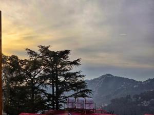 a view of a tree and a mountain at Newlands homestay near mall in Shimla
