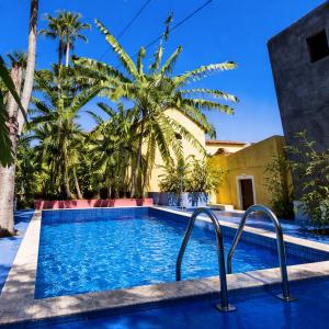 a swimming pool in front of a house with palm trees at Quinta Toca do leão in Ribeira Grande