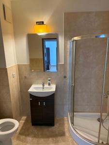 a bathroom with a toilet and a sink and a shower at UniqueView Apartament Jana Pawła in Białystok