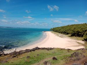 a view of a beach with trees and the ocean at The Voyager Océan View in Port Mathurin