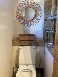 a bathroom with a white toilet and a mirror at The Voyager Océan View in Port Mathurin +40 photos