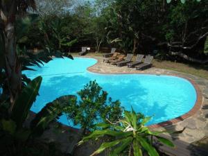 a large blue swimming pool with chairs and trees at Sodwana Bay Lodge Dive & Fishing Resort in Sodwana Bay