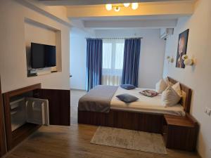 a hotel room with a bed and a television at Pensiunea Transilvania in Sibiu