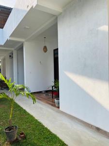 a white house with a plant in a yard at Luxury Living Villas in Matara +44 photos