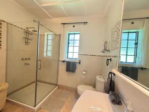 a bathroom with a shower and a toilet and a sink at Hornbill Cottage in Nairobi +11 photos