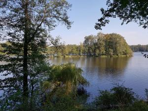 a view of a lake with trees in the background at Apartments in Trebbin 26568 in Trebbin +13 photos