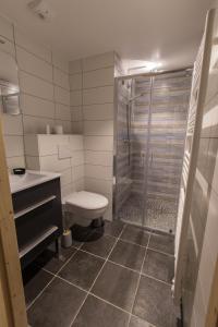 a bathroom with a shower and a toilet and a sink at Les Sabots d'Hélène in Valloire