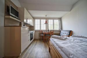 a room with a kitchen and a table with a bed at Appartement-6 in Süddorf