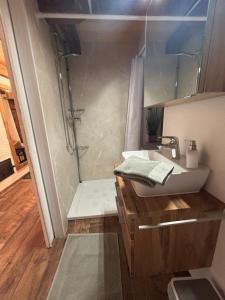 a bathroom with a sink and a shower at Stöckli Gantrisch-Blick in Rüeggisberg +24 photos