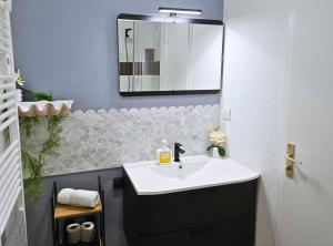 a bathroom with a sink and a mirror at ''Coccinelle'' WIFI - CENTRE - MODERNE in Dax +21 photos