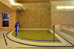 a person standing in a swimming pool in a gym at Hotel Habsburg in České Hamry