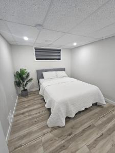 a white bedroom with a bed and a potted plant at 2 Bedroom Suite in Transcona in Winnipeg