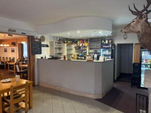 a restaurant with a deer head on the wall at Hotel Habsburg in České Hamry