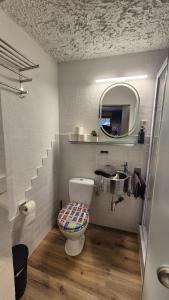 a small bathroom with a toilet and a sink at Refugium Altstadt in Monschau +139 photos