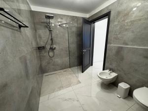 a bathroom with a shower and a toilet and a sink at PET apartments in Râmnicu Vâlcea