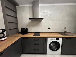 a kitchen with a washing machine and a sink at PET apartments in Râmnicu Vâlcea